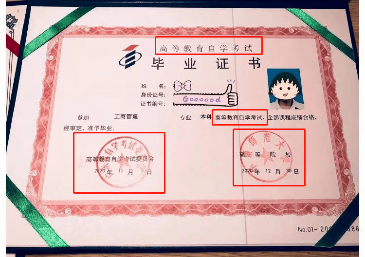 本科证书(大学本科证书)
