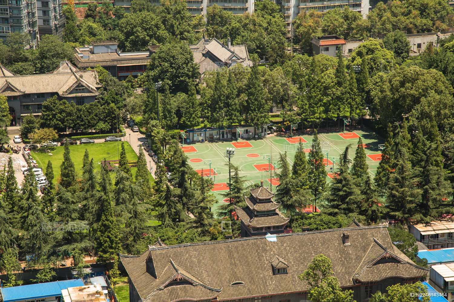 四川大学(四川大学锦江学院)