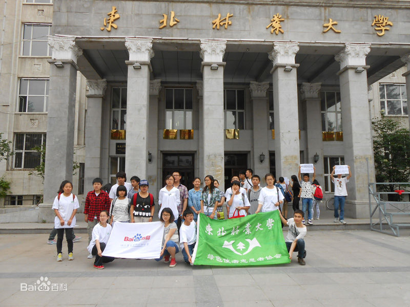 东北林业大学成人本科毕业证