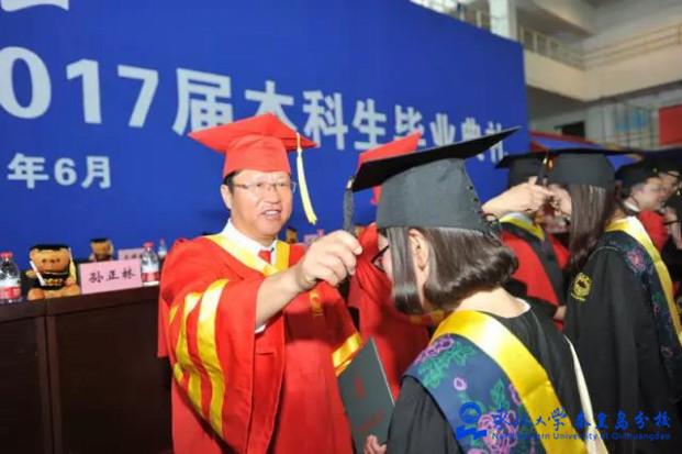 东北大学毕业证查询系统