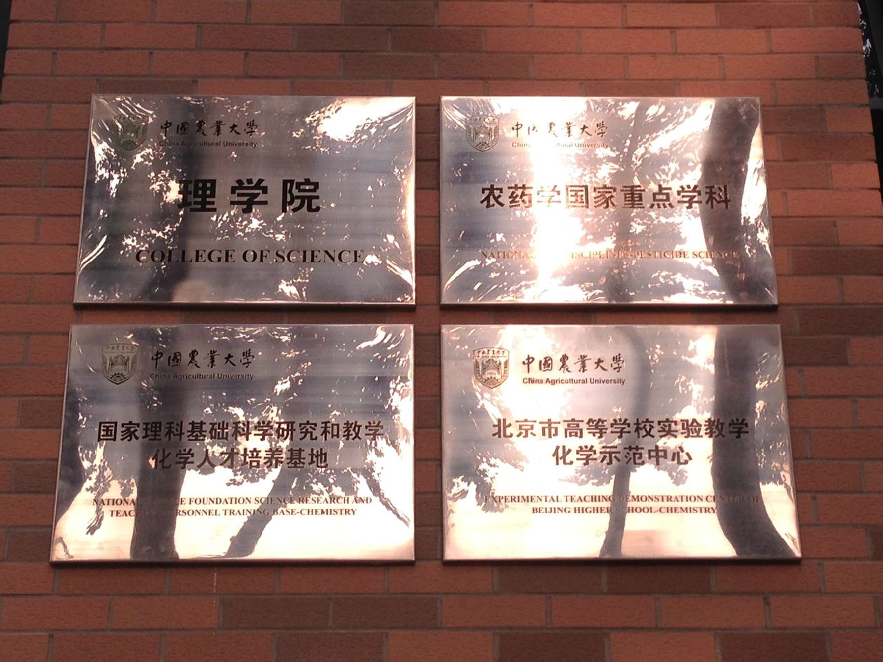 中国农业大学毕业照