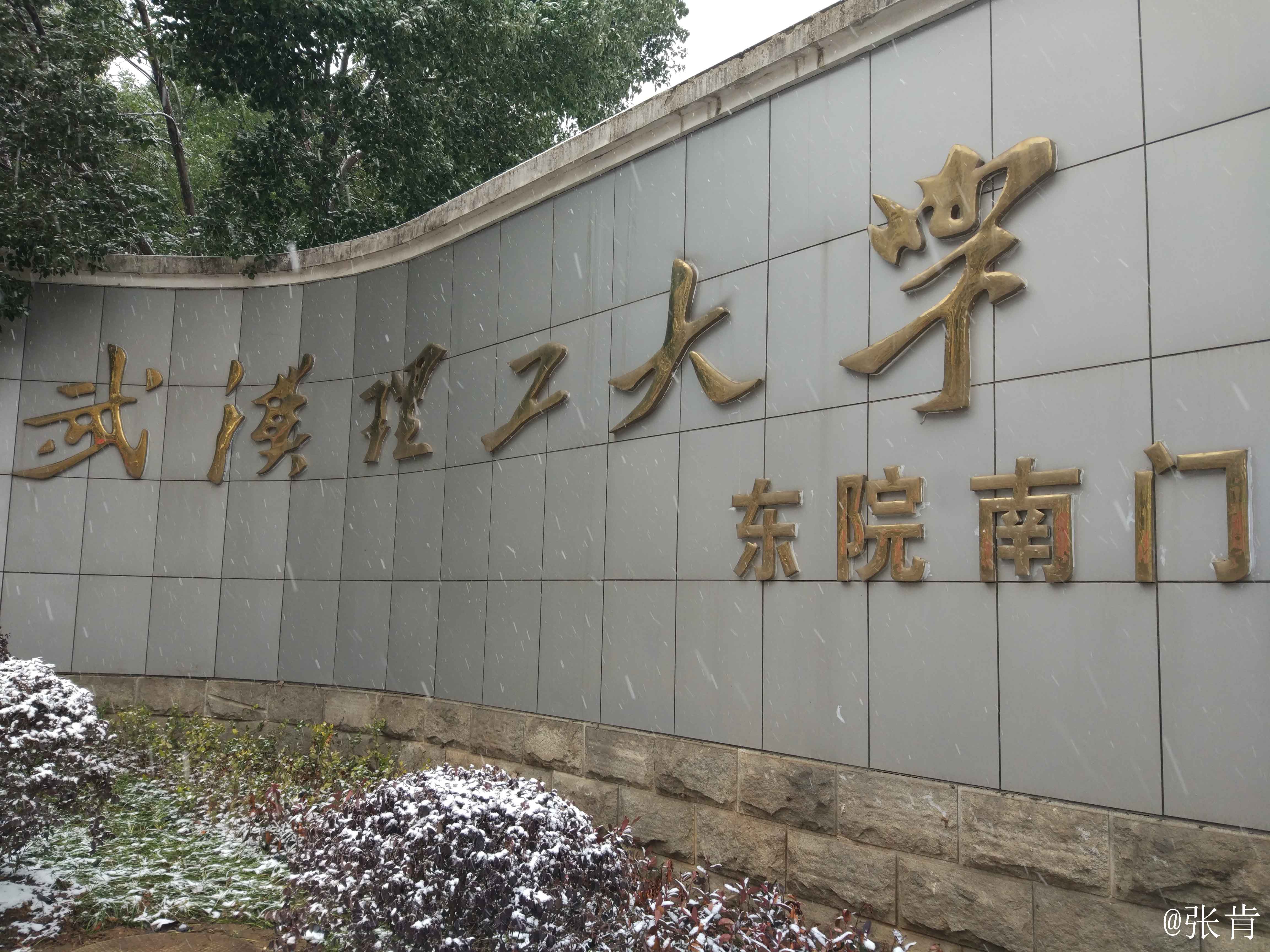 武汉理工大学毕业证查询