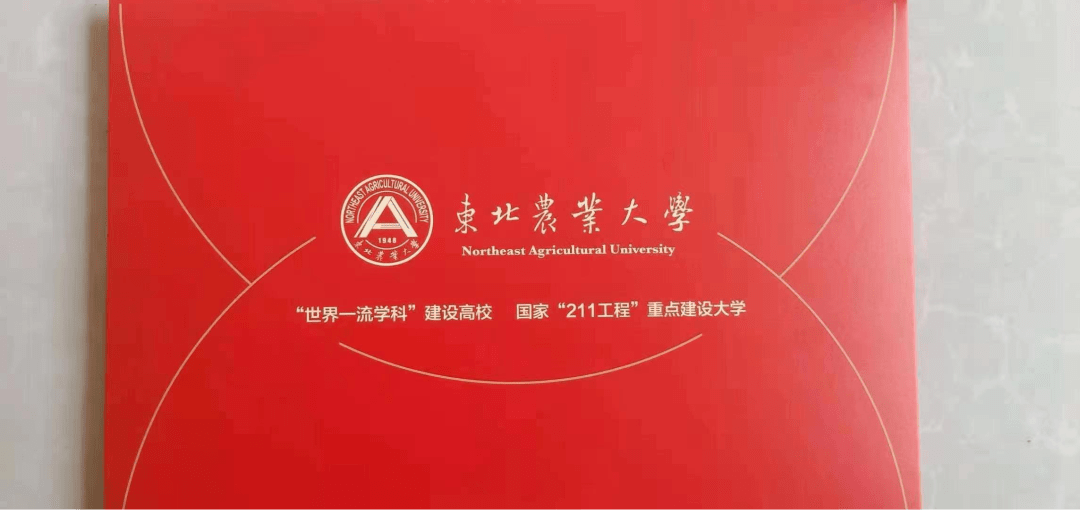 东北师范大学毕业是什么学历