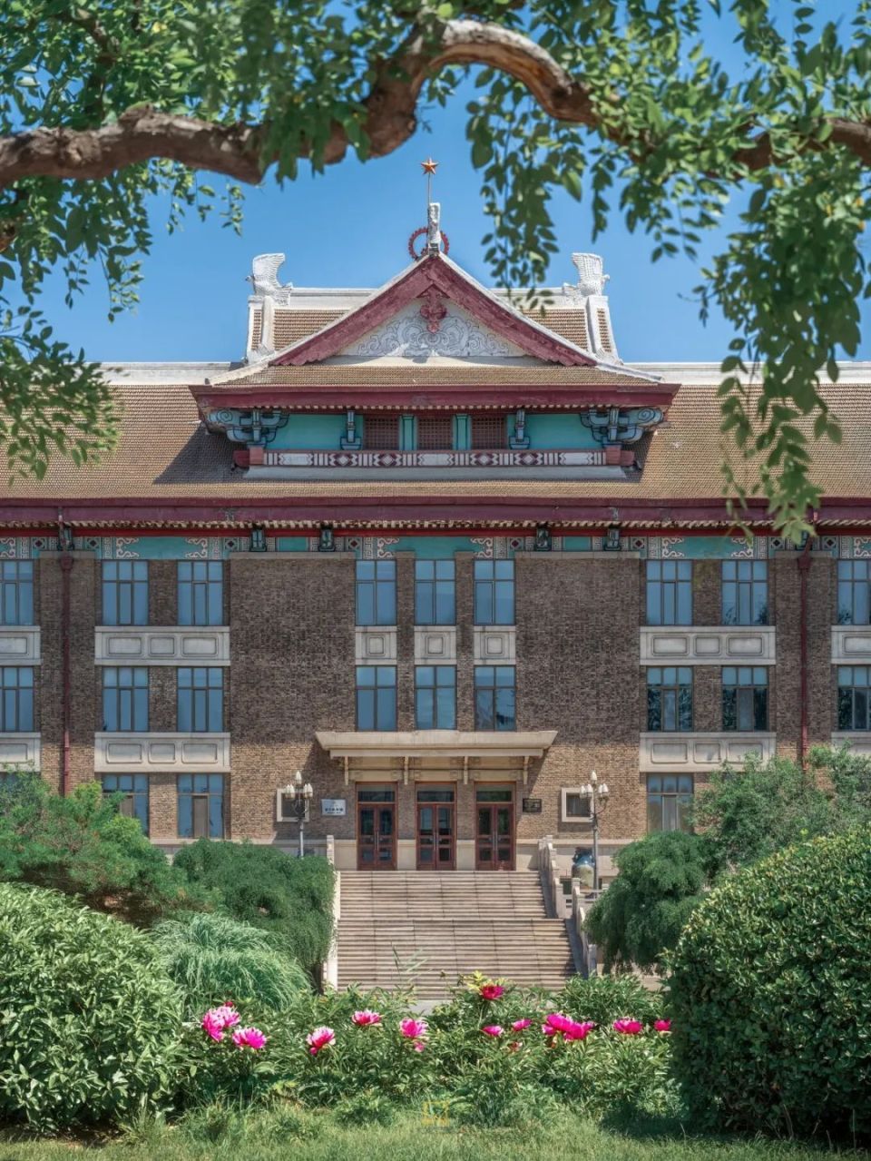 天津大学官网