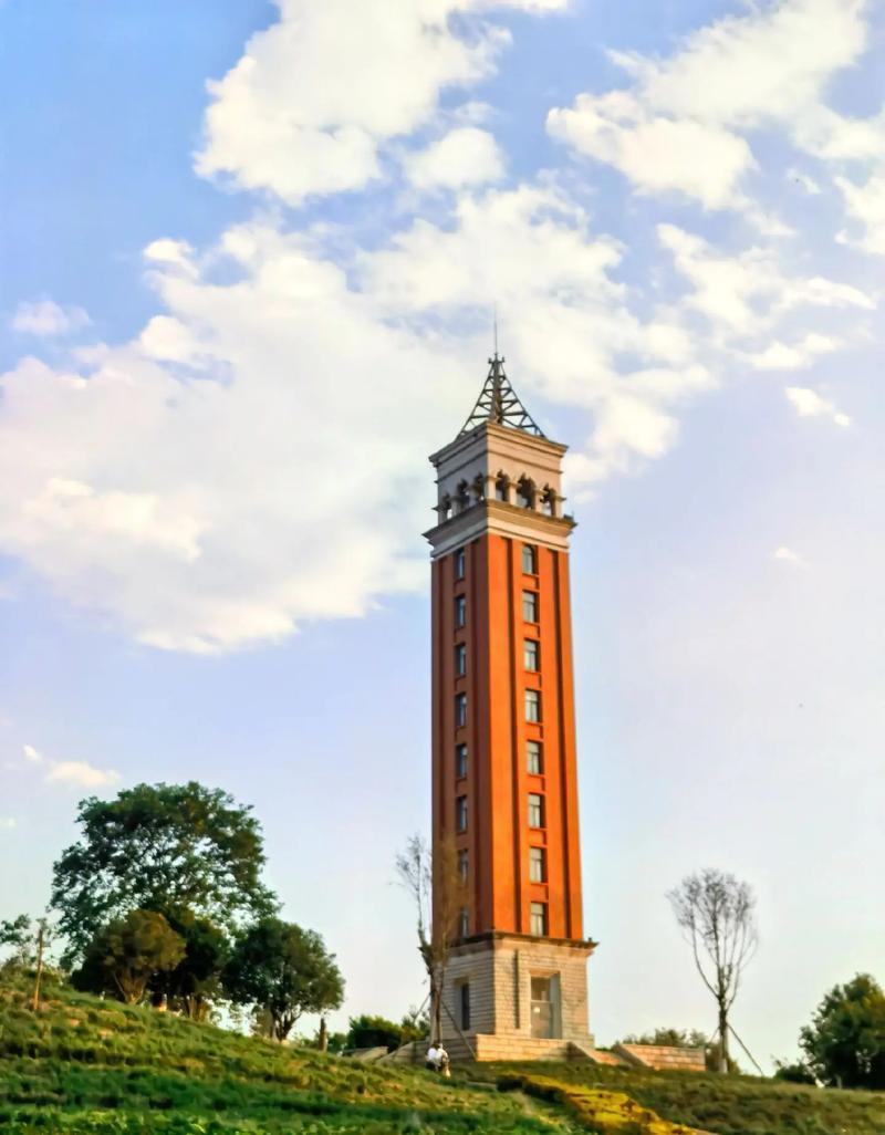 云南大学招生官网